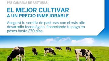 ¡Arrancó la precampaña de pasturas!